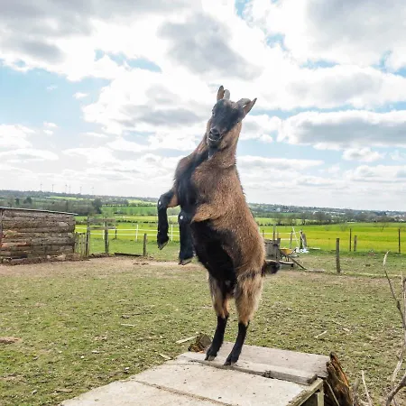 Belliloire, A La Campagne 3* Belligné
