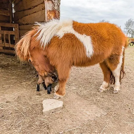 Belliloire, A La Campagne Vendégház