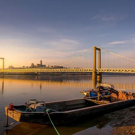 Belliloire, A La Campagne Belligné