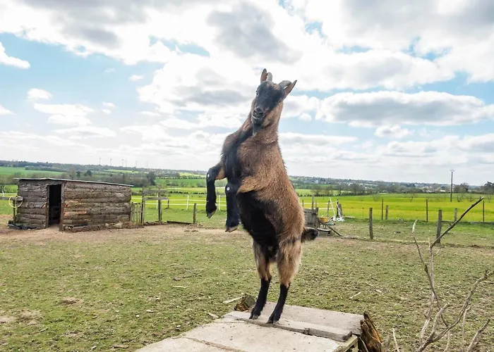 Belliloire, A La Campagne 3* Belligné